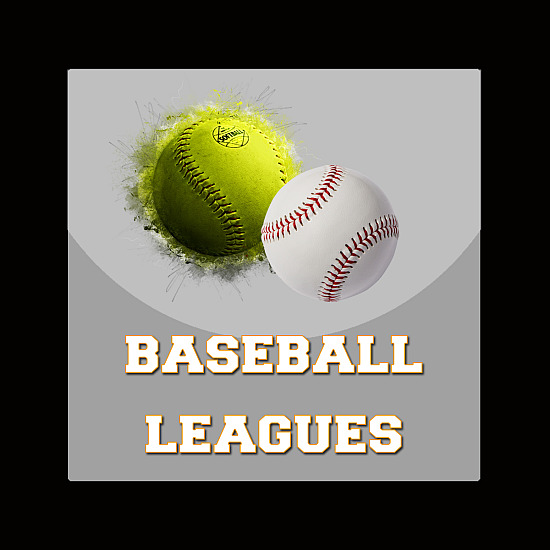 Baseball Leagues
